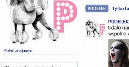 Po co Pudelkowi Facebook?