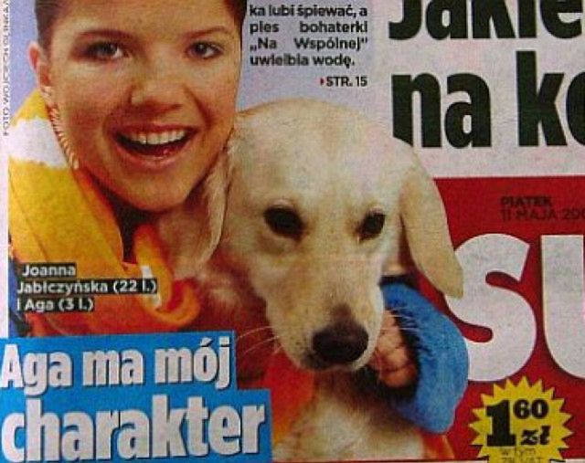 Pies Jabłczyńskiej ma jej charakter