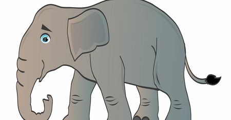 Jak narysować słonia? Instrukcja krok po kroku