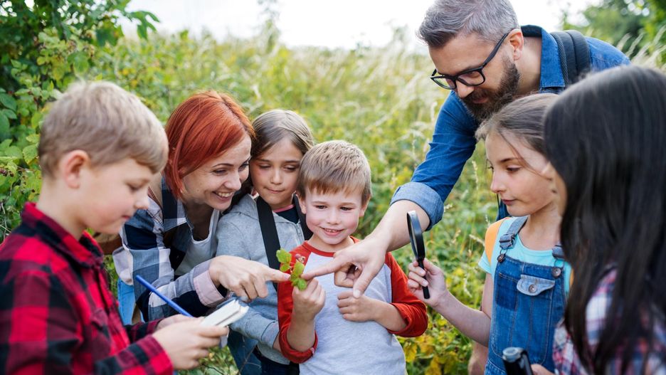 Szkolna przyroda po nowemu. Reforma MEN od 2026 roku