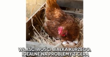 Właściwości białka kurzego. Idealne na problemy z cerą (WIDEO)