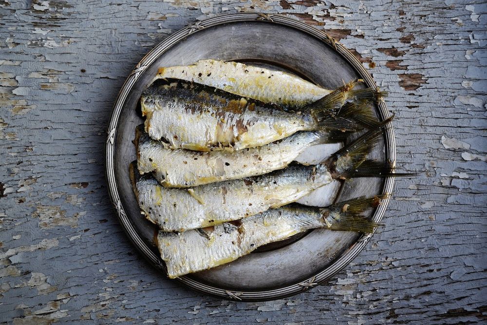 Właściwości zdrowotne sardynek