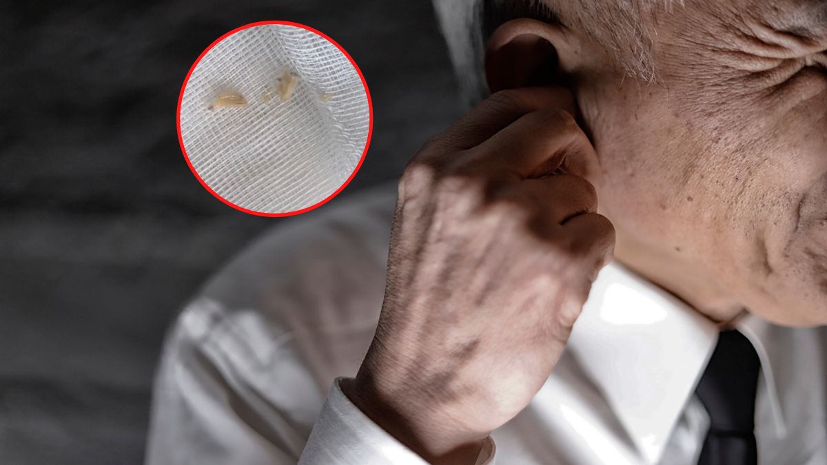 W jego uchu zalęgły się larwy