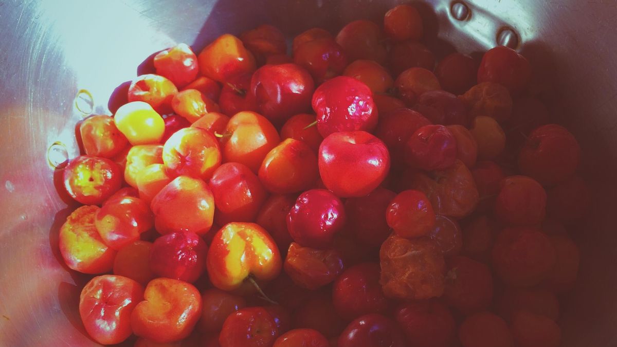 Acerola zawiera nawet 30 razy więcej witaminy C niż cytryna