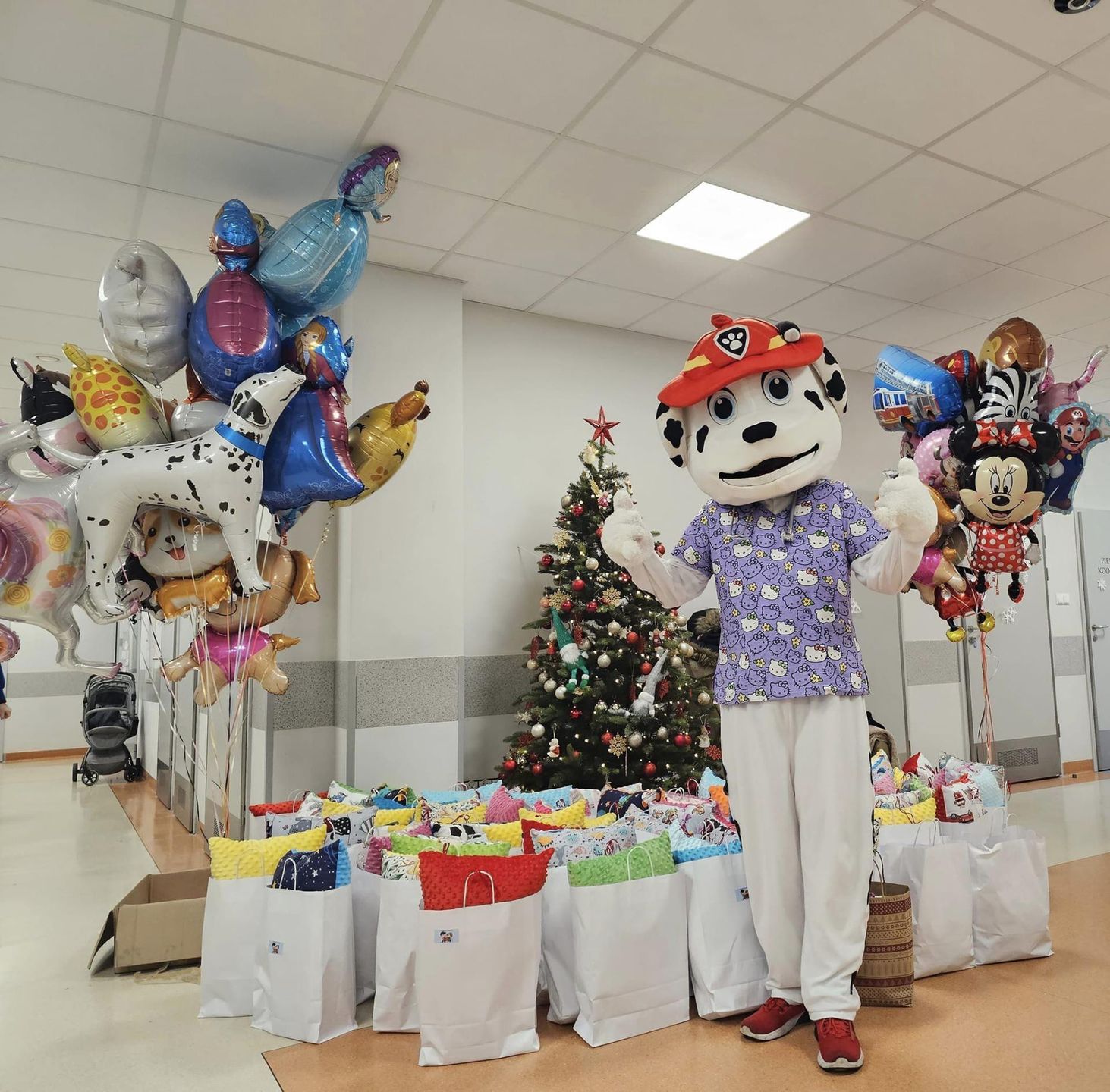 Marshall - Pies do zadań specjalnych odwiedza szpitale