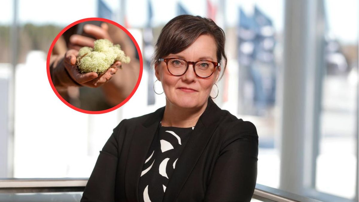 Lignina chroni przed wirusami i bakteriami