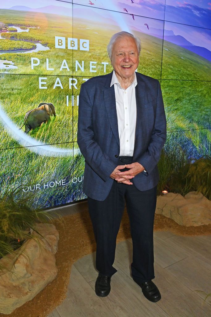 97-letni David Attenborough jest w doskonałej kondycji. Radzi, by wykluczyć z diety czerwone mięso i sery