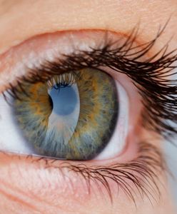 Ekspert: ponad 80 proc. osób z jaskrą nie wie o swojej chorobie