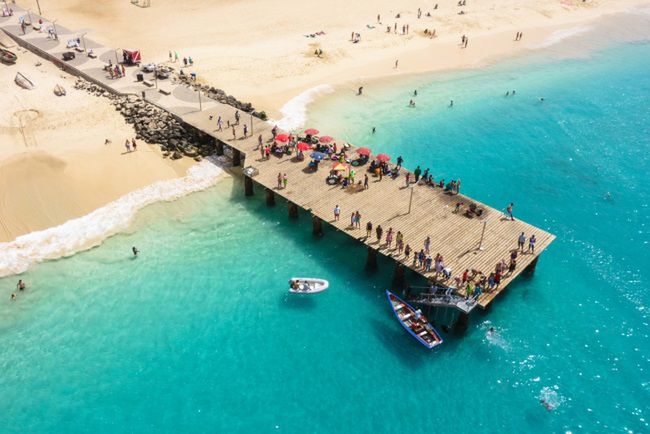 fot. Samuel Borges Photography - Shutterstock.com 