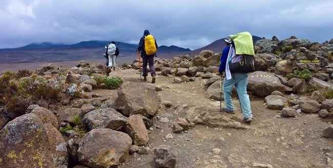 "Szpik na Szczyt", czyli wyprawa na Kilimandżaro