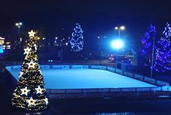 Przed słupskim ratuszem stanęły dwie choinki. Ekologiczną postawi urzędnicy, żywą miejscy aktywiści