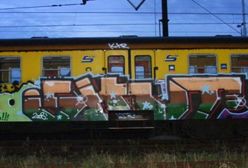 Gdańsk coraz lepiej radzi sobie z nielegalnym graffiti. Są kolejne osoby z zarzutami