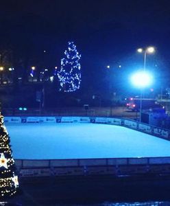 Przed słupskim ratuszem stanęły dwie choinki. Ekologiczną postawi urzędnicy, żywą miejscy aktywiści