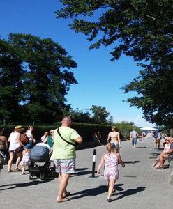 Wznowiono poszukiwania Iwony Wieczorek. Będzie przełom w sprawie tajemniczego zaginięcia?