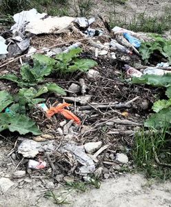 Gdańscy urzędnicy będą walczyć z nielegalnymi wysypiskami. Chcą zatrudnić detektywów