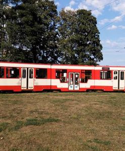 Pierwszy tramwaj na Morenę już pojechał. Od poniedziałku będą kursować na stałe