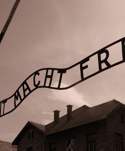 Turyści odpowiedzą za okradanie i niszczenie Muzeum Auschwitz