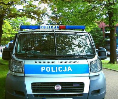 Pomorscy policjanci przejęli transport narkotyków wartych prawie 100 tys. zł