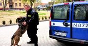 Policyjny pies uratował zaginionego Pomorzanina. ''Nie potrafił trafić do domu''