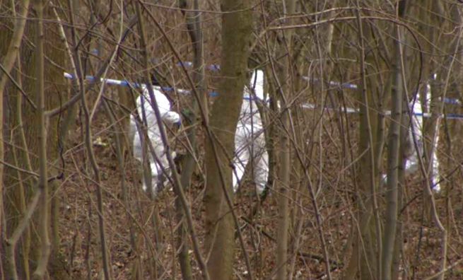 Ciało kobiety znalezione w gdańskim parku