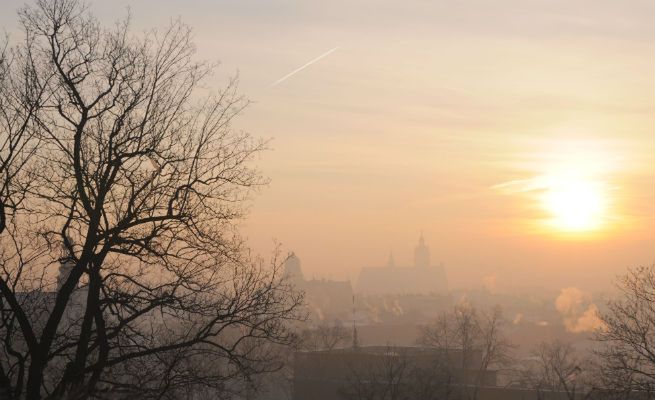 Smog w Krakowie. Collegium Medicum UJ: połowa krakowskich uczniów cierpi na alergię