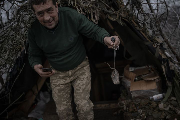 Roznoszą choroby i budzą niepokój żołnierzy. "Mysia gorączka" w Ukrainie