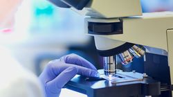 Antybiogram - badanie, normy, wskazania, interpretacja wyniku, cena