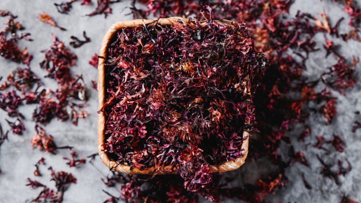 Mech irlandzki wykorzystuje się w przemyśle spożywczym