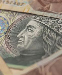 Płaca minimalna powinna wynosić połowę średniej?