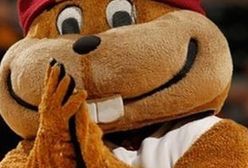 Jak zostać zawodową maskotką