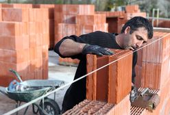 Koniec z turystyką zasiłkową? Holandia chce ograniczeń dla emigrantów