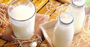 Mleko wielbłądzie - zdrowa alternatywa czy tylko fanaberia?