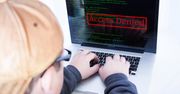 Cyberprzestępcy odetną nam prąd?