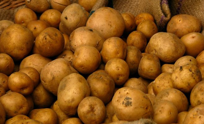 NASA chce hodować ziemniaki na Marsie