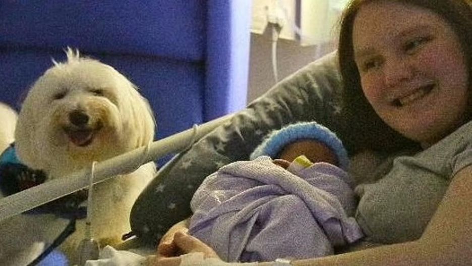 Urodziła w asyście psa. Pierwszy taki przypadek w UK