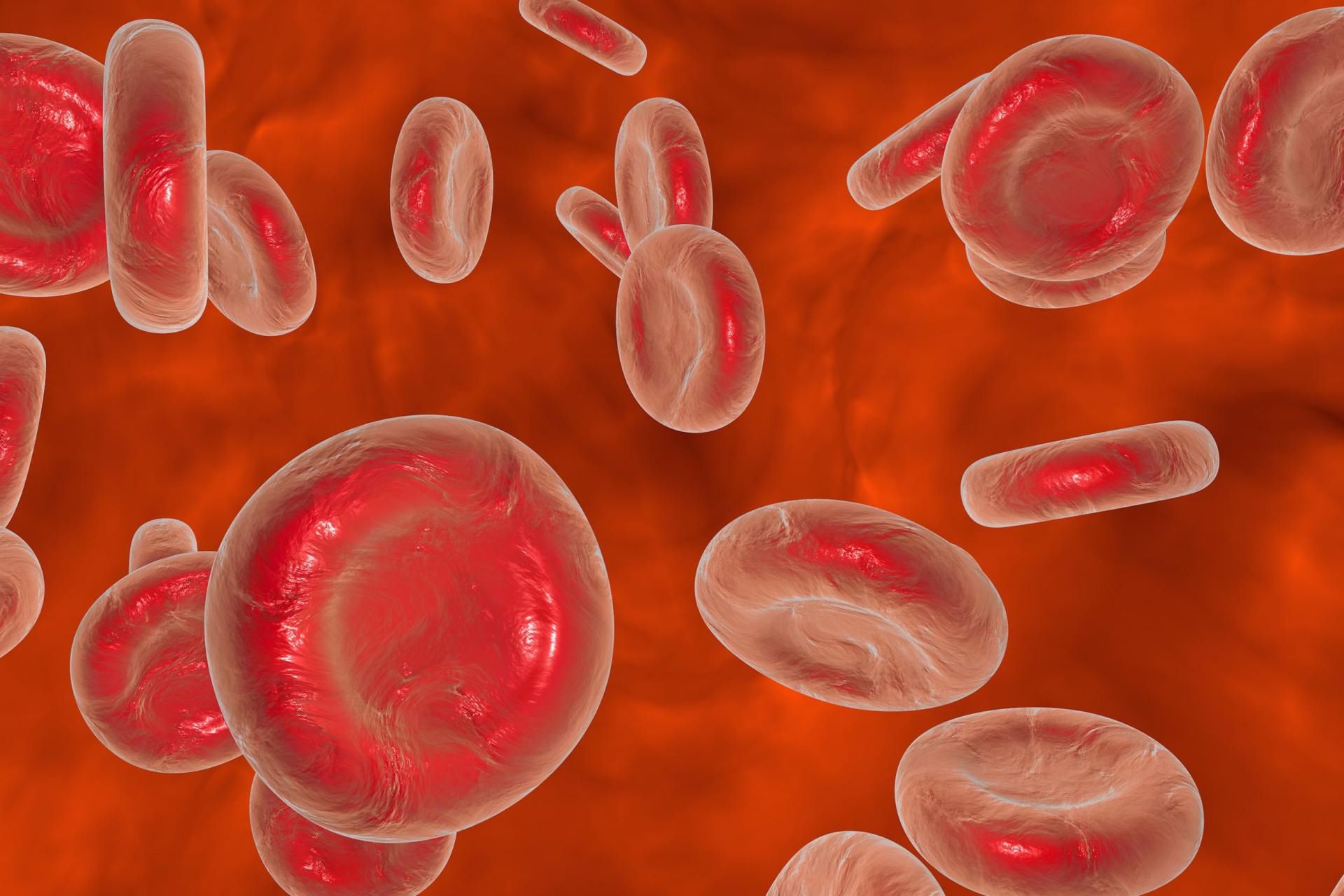 Wskaźnik RDW - SD opisuje rozpiętość rozkładu objętości czerwonych krwinek
