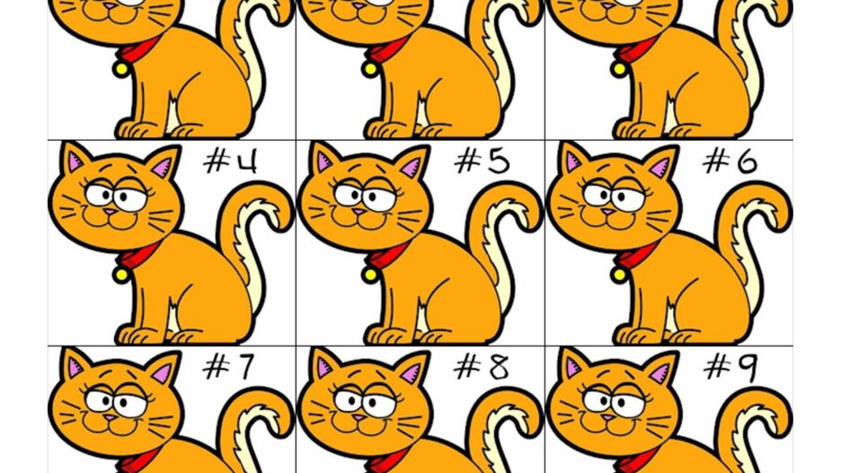 Łatwo się pomylić. Sprawdź, czy umiesz się skupić