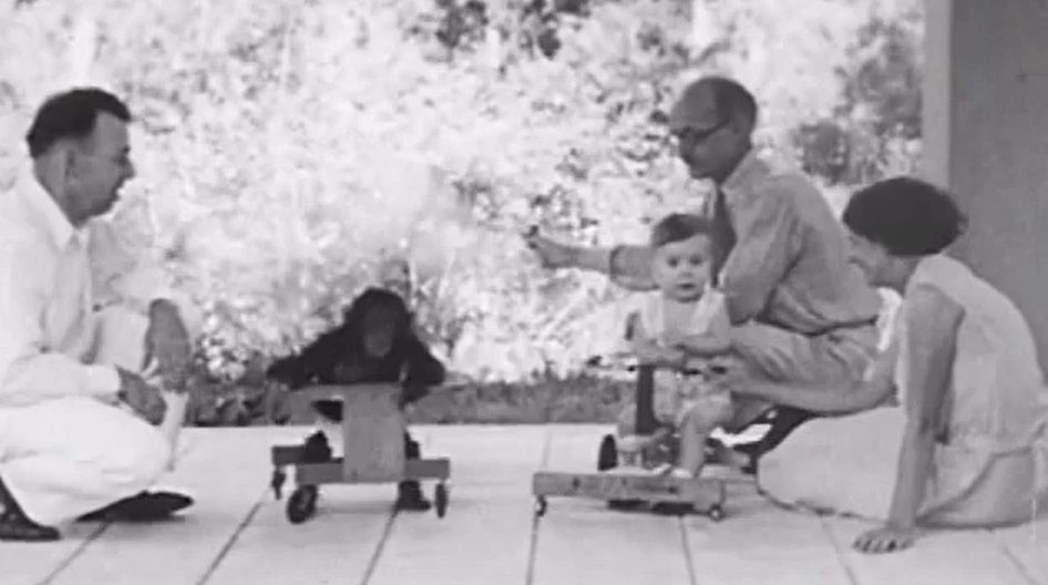 Badania nad psychologią rozwoju