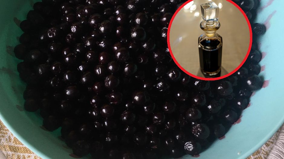 Aronia zawiera cenne antocyjany