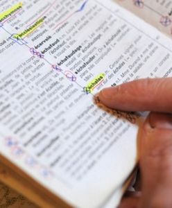 Słowo roku w Austrii to "Bundespraesidentenstichwahlwiederholungsverschiebung"