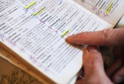 Słowo roku w Austrii to "Bundespraesidentenstichwahlwiederholungsverschiebung"