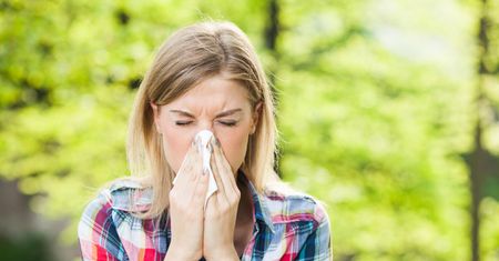 Alergia a choroby układu nerwowego