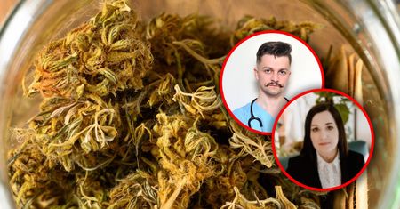 Przepisują marihuanę medyczną, choć nie powinni. Nie ma jednoznacznych rekomendacji