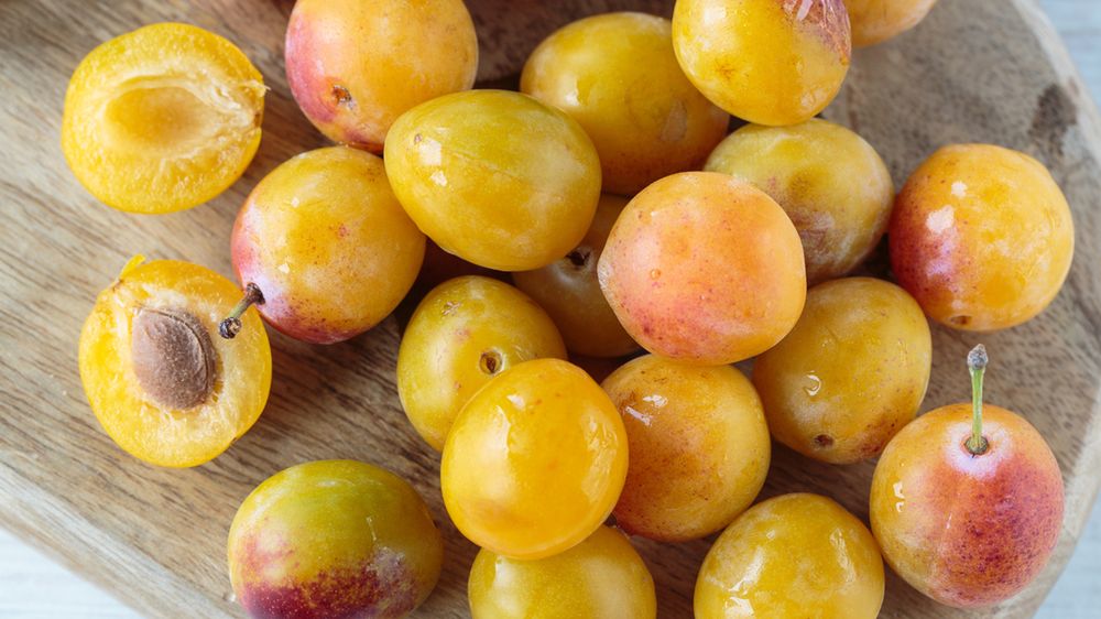 Naukowcy chcą wdrożyć spożywczy olej z pestek mirabelek na rynek komercyjny