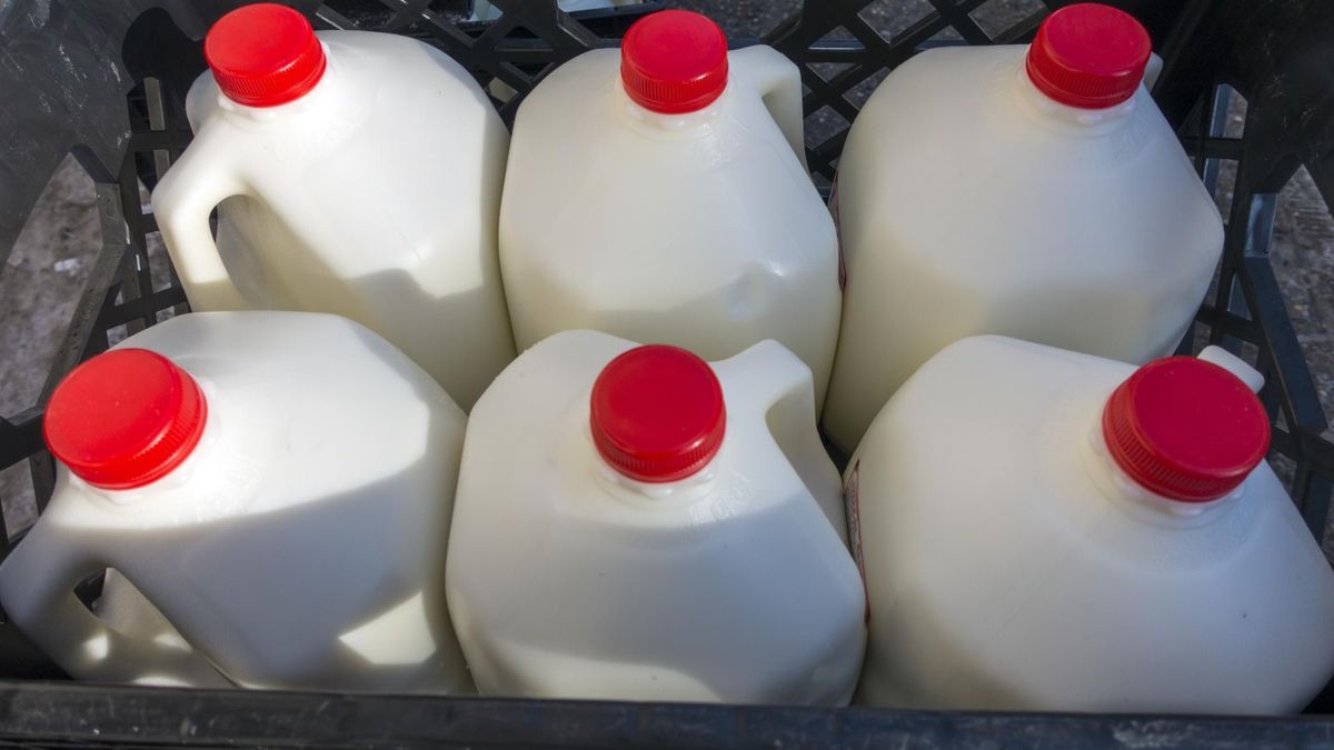 Nawadnia lepiej niż woda. Swoje działanie zawdzięcza 3 składnikom