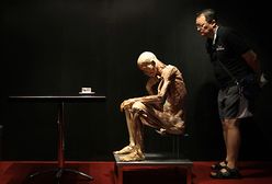 Spreparowane ciała na wystawie