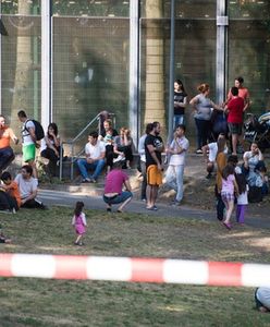 800 ataków na niemieckie ośrodki dla uchodźców