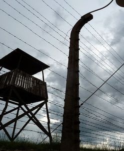 Interwencja ambasadora ws. publikacji BBC o roli Polaków w Holokauście