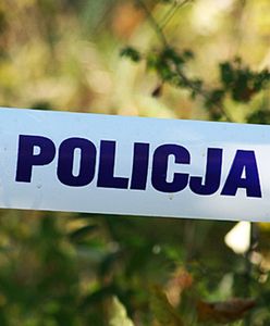 Ciało 70-letniej gdańszczanki znaleziono w wiacie śmietnikowej