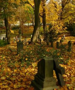 Jak znaleźć grób na cmentarzu w Poznaniu? Skorzystaj z wyszukiwarki